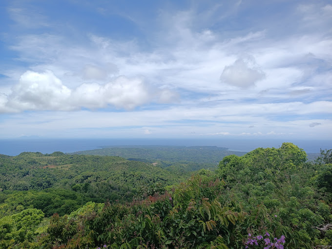 Mt. Bandilaan National Park